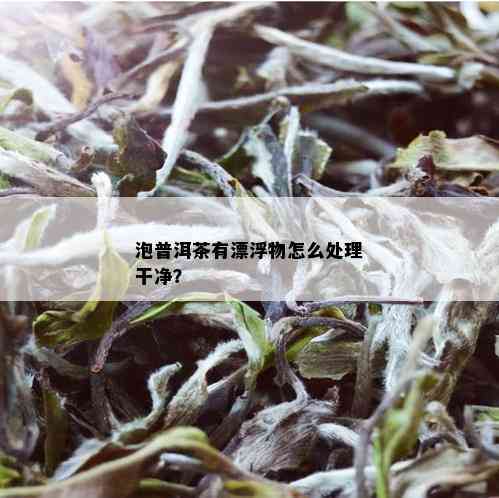 泡普洱茶有漂浮物怎么处理干净？