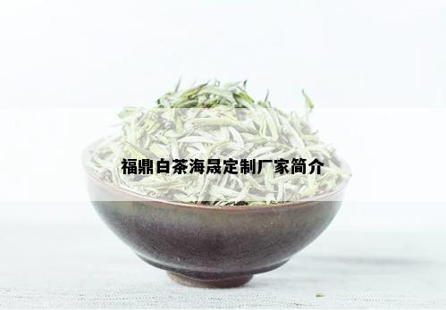 福鼎白茶海晟定制厂家简介