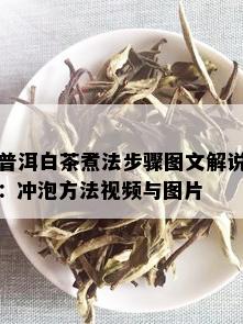 普洱白茶煮法步骤图文解说：冲泡方法视频与图片