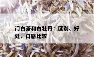 门白茶和白牡丹：区别、好处、口感比较