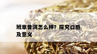 班章普洱怎么样？探究口感及意义