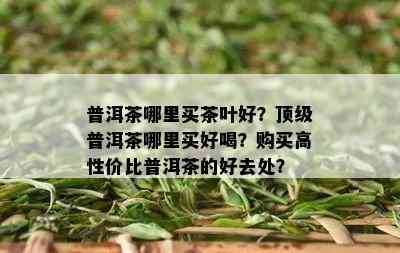 普洱茶哪里买茶叶好？顶级普洱茶哪里买好喝？购买高性价比普洱茶的好去处？