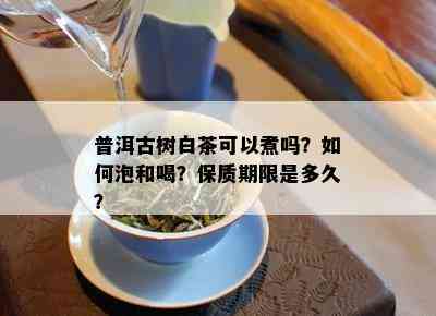 普洱古树白茶可以煮吗？如何泡和喝？保质期限是多久？