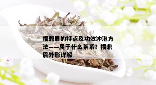 福鼎眉的特点及功效冲泡方法——属于什么茶系？福鼎眉外形详解