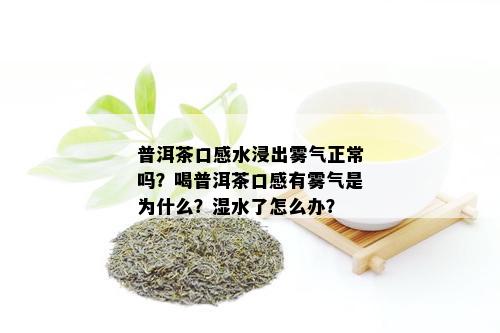 普洱茶口感水浸出雾气正常吗？喝普洱茶口感有雾气是为什么？湿水了怎么办？