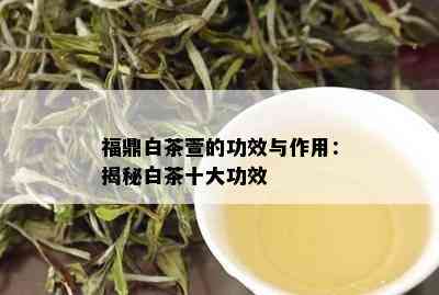 福鼎白茶萱的功效与作用：揭秘白茶十大功效