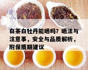 白茶白牡丹能晒吗？晒法与注意事，安全与品质解析，附保质期建议