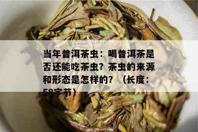 当年普洱茶虫：喝普洱茶是否还能吃茶虫？茶虫的来源和形态是怎样的？（长度：58字节）