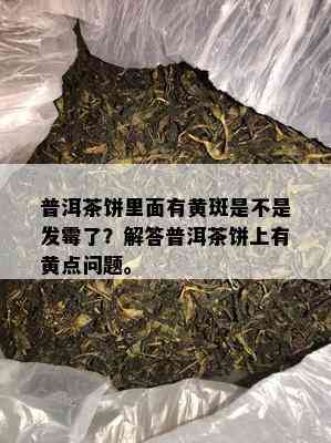 普洱茶饼里面有黄斑是不是发霉了？解答普洱茶饼上有黄点问题。