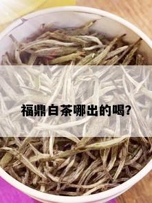 福鼎白茶哪出的喝？