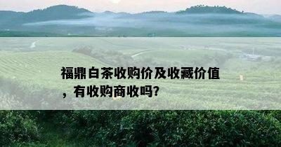 福鼎白茶收购价及收藏价值，有收购商收吗？