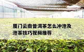 厦门云南普洱茶怎么冲泡及泡茶技巧视频推荐