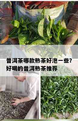 普洱茶哪款熟茶好泡一些？好喝的普洱熟茶推荐