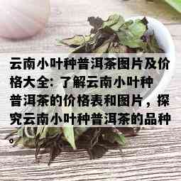 云南小叶种普洱茶图片及价格大全: 了解云南小叶种普洱茶的价格表和图片，探究云南小叶种普洱茶的品种。