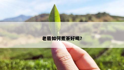 老眉如何煮茶好喝？