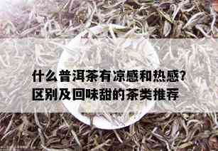 什么普洱茶有凉感和热感？区别及回味甜的茶类推荐