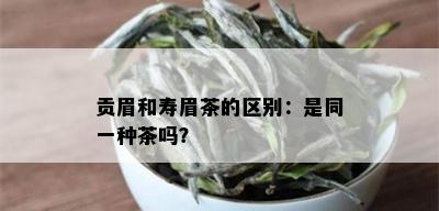 贡眉和寿眉茶的区别：是同一种茶吗？