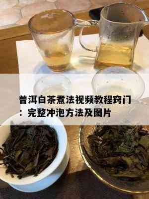 普洱白茶煮法视频教程窍门：完整冲泡方法及图片