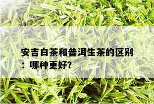 安吉白茶和普洱生茶的区别：哪种更好？