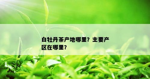 白牡丹茶产地哪里？主要产区在哪里？