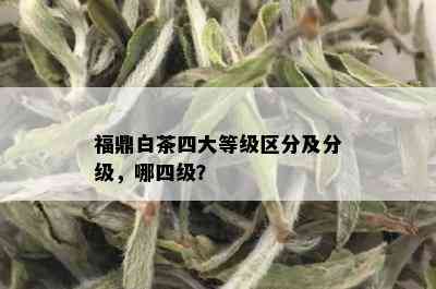 福鼎白茶四大等级区分及分级，哪四级？