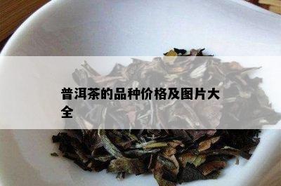 普洱茶的品种价格及图片大全