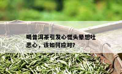 喝普洱茶引发心慌头晕想吐恶心，该如何应对？