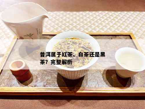 普洱属于红茶、白茶还是黑茶？完整解析