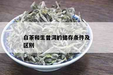 白茶和生普洱的储存条件及区别