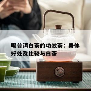 喝普洱白茶的功效茶：身体好处及比较与白茶