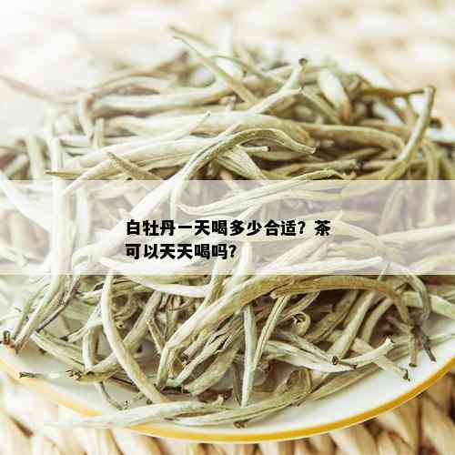 白牡丹一天喝多少合适？茶可以天天喝吗？