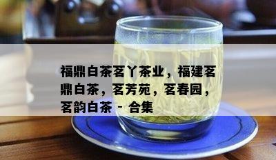 福鼎白茶茗丫茶业，福建茗鼎白茶，茗芳苑，茗春园，茗韵白茶 - 合集