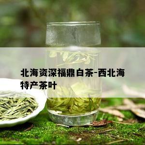 北海资深福鼎白茶-西北海特产茶叶