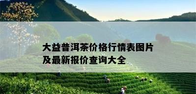 大益普洱茶价格行情表图片及最新报价查询大全