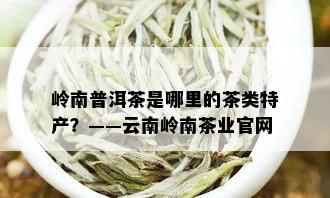 岭南普洱茶是哪里的茶类特产？——云南岭南茶业官网