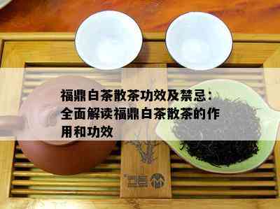 福鼎白茶散茶功效及禁忌：全面解读福鼎白茶散茶的作用和功效