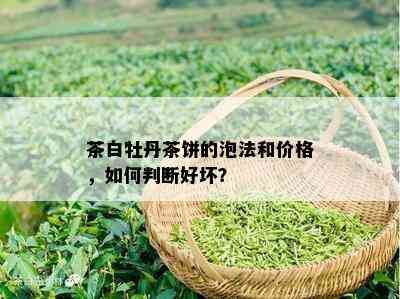 茶白牡丹茶饼的泡法和价格，如何判断好坏？