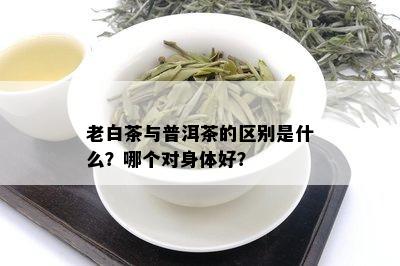 老白茶与普洱茶的区别是什么？哪个对身体好？