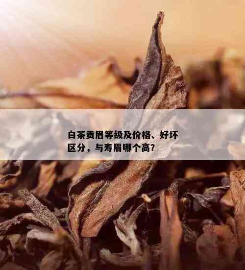 白茶贡眉等级及价格、好坏区分，与寿眉哪个高？