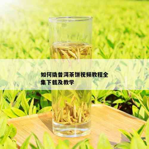 如何撬普洱茶饼视频教程全集下载及教学