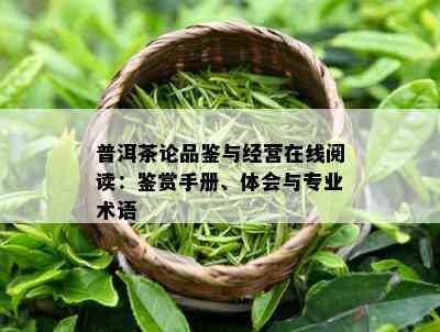 普洱茶论品鉴与经营在线阅读：鉴赏手册、体会与专业术语