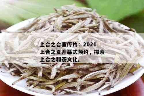 上合之合宣传片：2021上合之夏开幕式预约，探索上合之和茶文化。