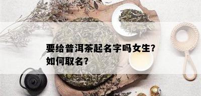 要给普洱茶起名字吗女生？如何取名？