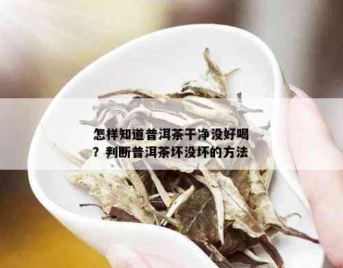 怎样知道普洱茶干净没好喝？判断普洱茶坏没坏的方法