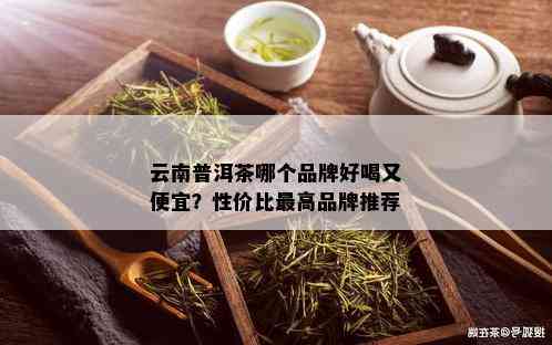 云南普洱茶哪个品牌好喝又便宜？性价比更高品牌推荐