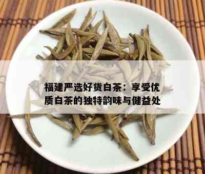 福建严选好货白茶：享受优质白茶的独特韵味与健益处