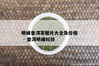 明峰普洱茶图片大全及价格 - 普洱明峰科技