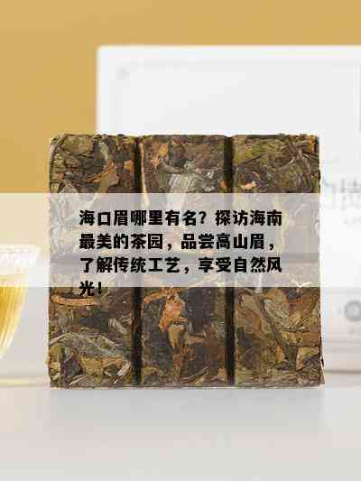 海口眉哪里有名？探访海南最美的茶园，品尝高山眉，了解传统工艺，享受自然风光！