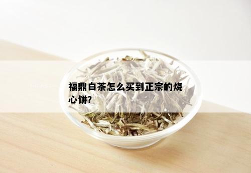 福鼎白茶怎么买到正宗的烧心饼？