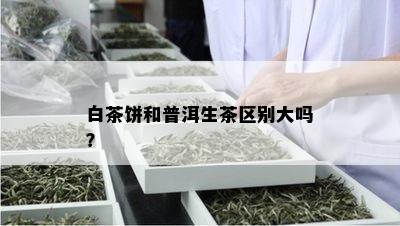 白茶饼和普洱生茶区别大吗？